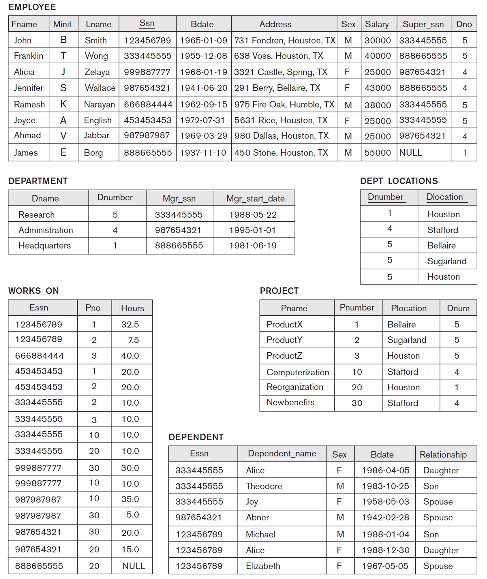 An Example Database Company Database Learning Monkey